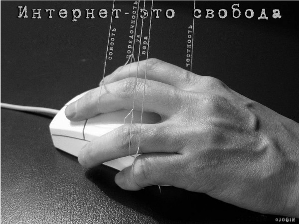 по биологии о медузах доклад
